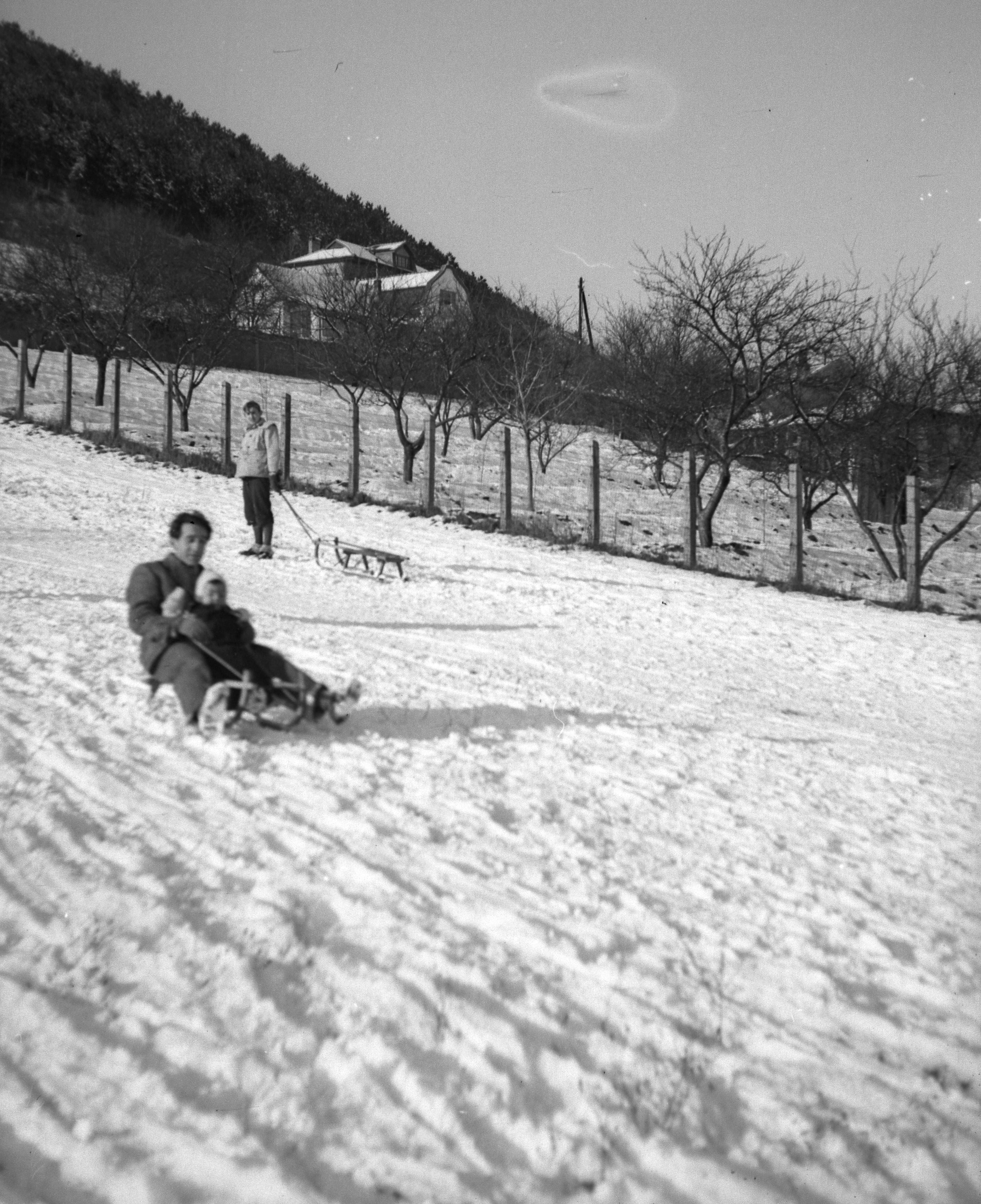 tél régen szánkózás