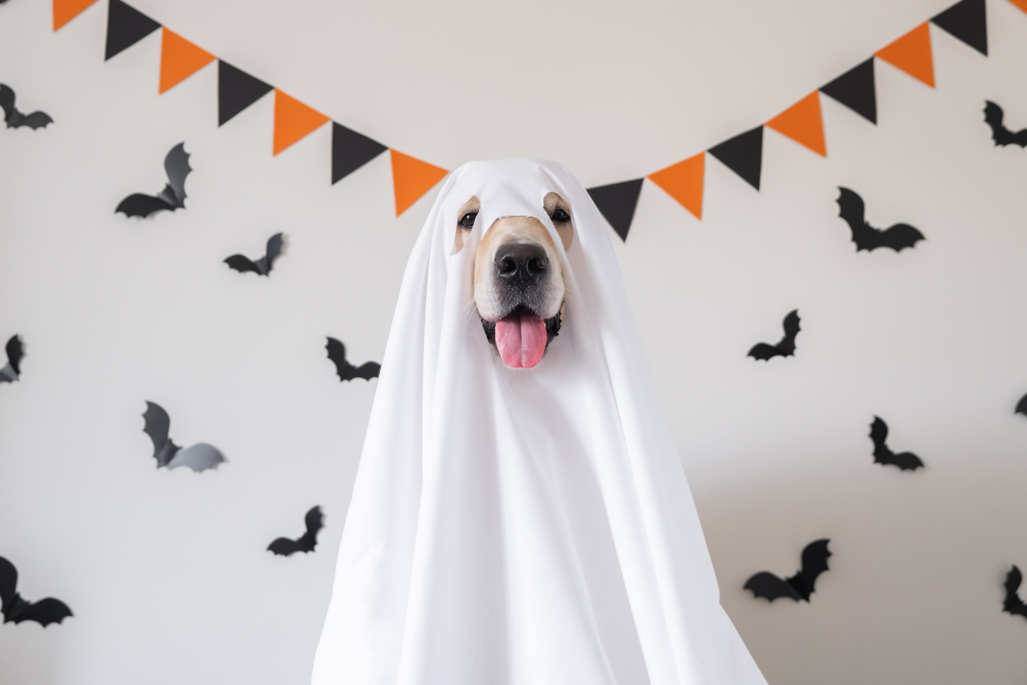 Szellem halloween dekoráció otthon Szellem halloween dekoráció otthon